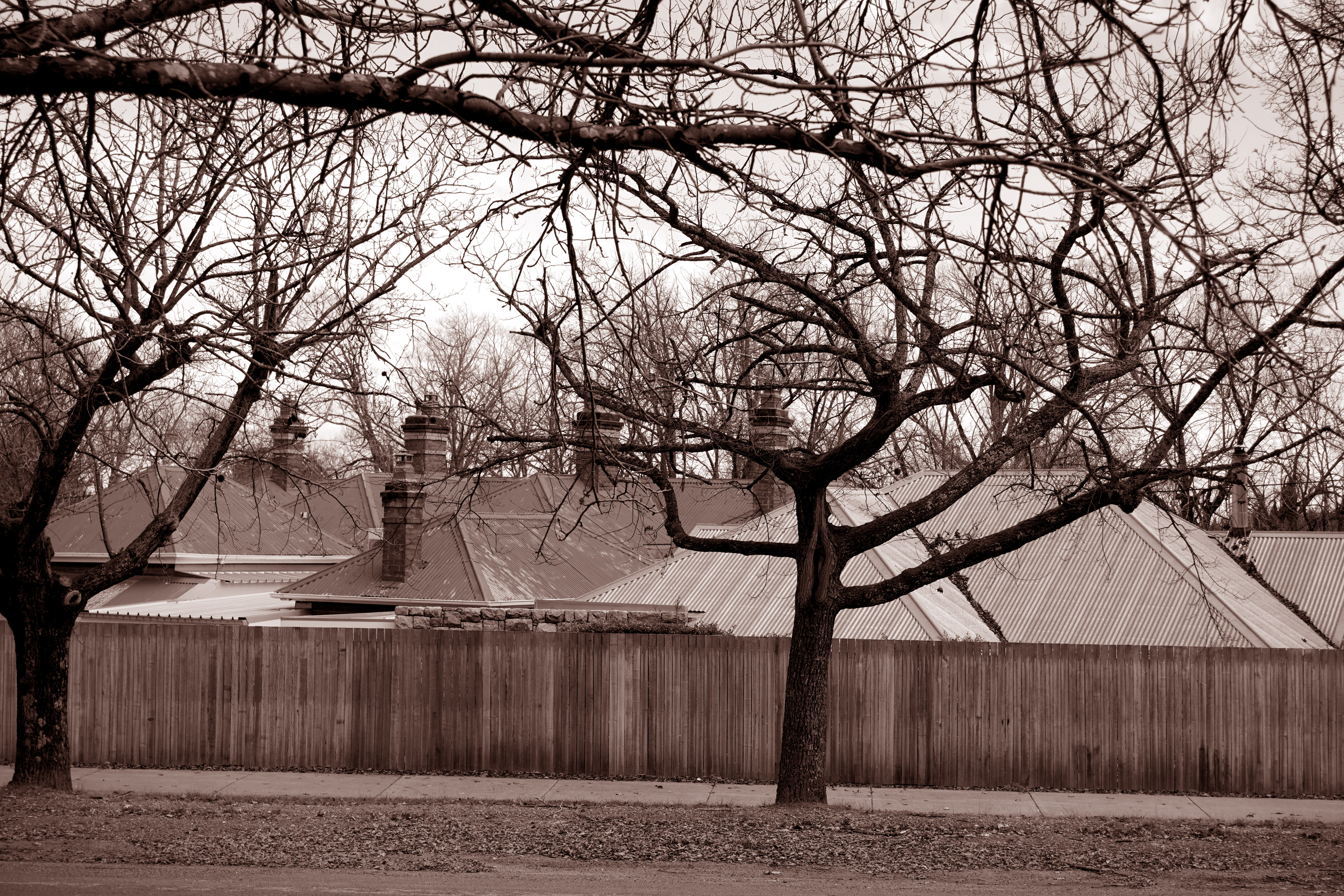 Ford Street, Beechworth